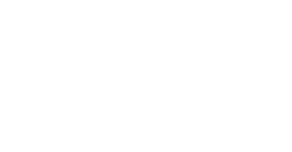 Logo footer